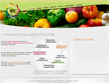 Tablet Screenshot of mti-groupe.com